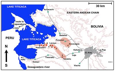 Donkey Fascioliasis Within a One Health Control Action: Transmission Capacity, Field Epidemiology, and Reservoir Role in a Human Hyperendemic Area